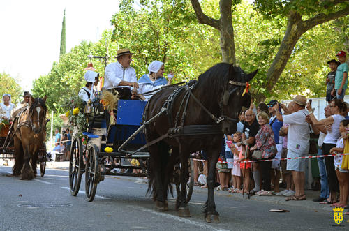 Fête votive 2019 - Cavalcade WEB (101)