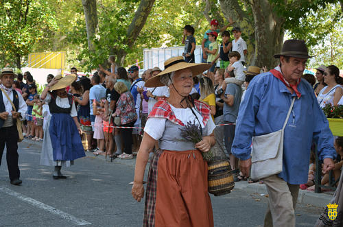 Fête votive 2019 - Cavalcade WEB (108)