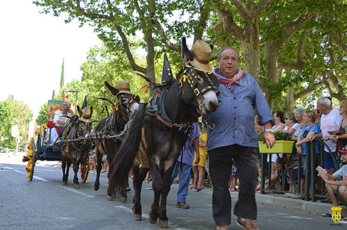 Fête votive 2019 - Cavalcade WEB (114)