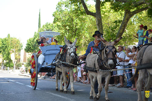 Fête votive 2019 - Cavalcade WEB (119)