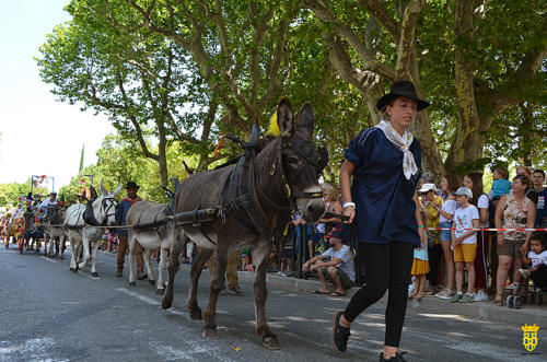 Fête votive 2019 - Cavalcade WEB (121)