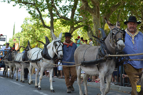 Fête votive 2019 - Cavalcade WEB (122)