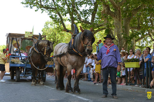 Fête votive 2019 - Cavalcade WEB (139)