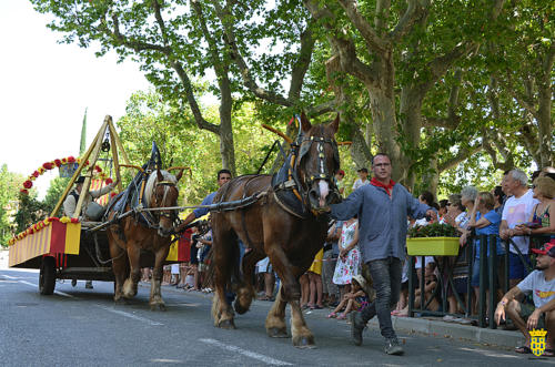 Fête votive 2019 - Cavalcade WEB (142)