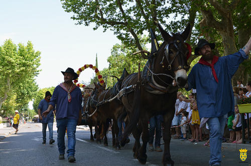 Fête votive 2019 - Cavalcade WEB (145)