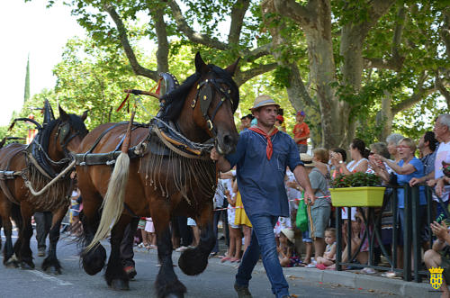 Fête votive 2019 - Cavalcade WEB (153)