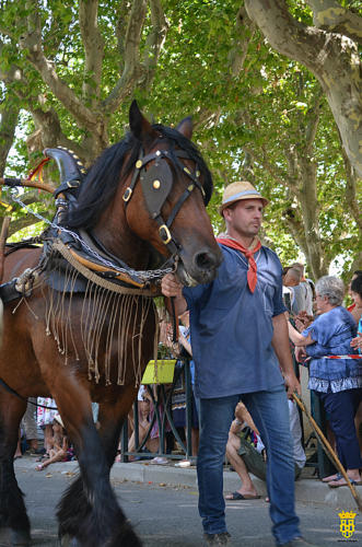 Fête votive 2019 - Cavalcade WEB (154)