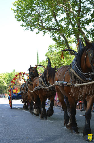 Fête votive 2019 - Cavalcade WEB (155)