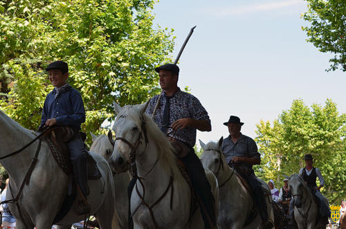 Fête votive 2019 - Cavalcade WEB (187)
