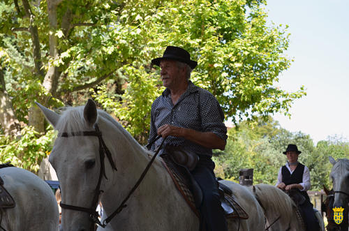 Fête votive 2019 - Cavalcade WEB (188)