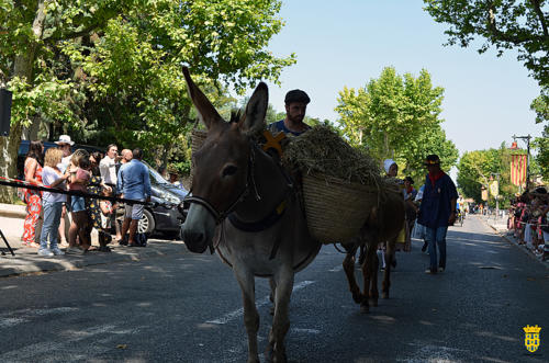 Fête votive 2019 - Cavalcade WEB (194)
