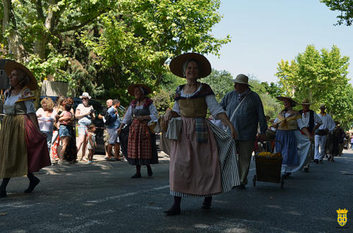 Fête votive 2019 - Cavalcade WEB (211)