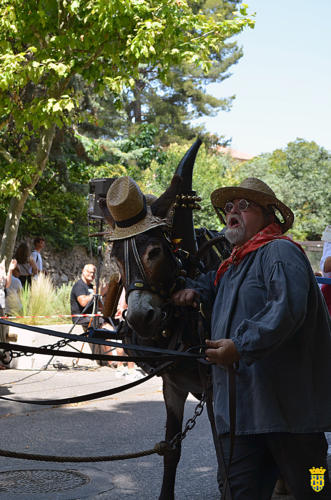 Fête votive 2019 - Cavalcade WEB (218)