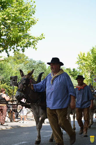 Fête votive 2019 - Cavalcade WEB (224)