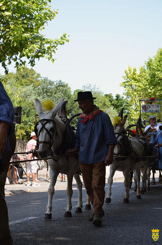 Fête votive 2019 - Cavalcade WEB (225)