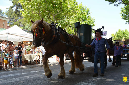 Fête votive 2019 - Cavalcade WEB (229)