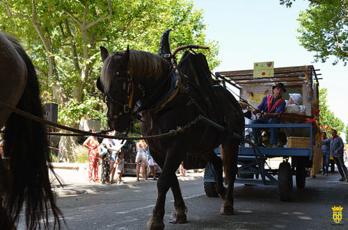 Fête votive 2019 - Cavalcade WEB (231)