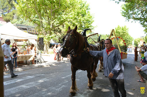 Fête votive 2019 - Cavalcade WEB (233)