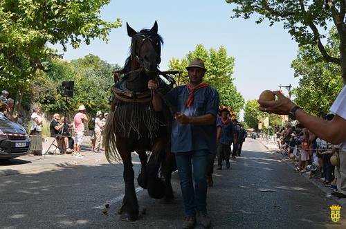 Fête votive 2019 - Cavalcade WEB (246)