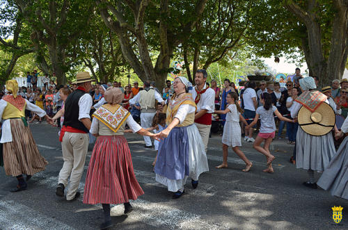 Fête votive 2019 - Cavalcade WEB (56)