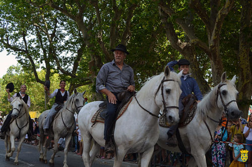 Fête votive 2019 - Cavalcade WEB (88)