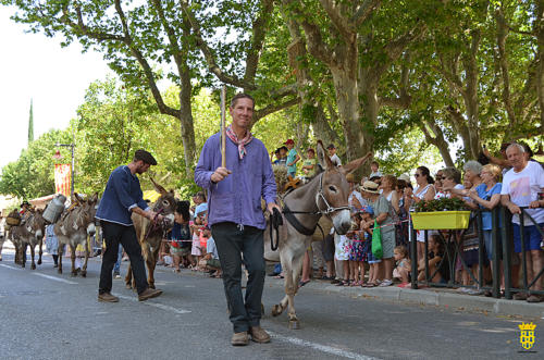 Fête votive 2019 - Cavalcade WEB (93)