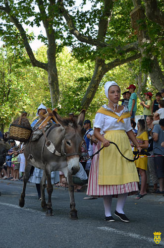 Fête votive 2019 - Cavalcade WEB (97)