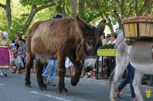 Fête votive 2019 - Cavalcade WEB (99)