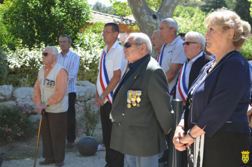 Hommage aux morts d'Indochine 2019(10)