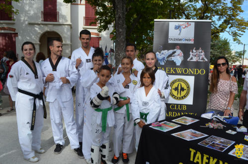 Forum des associations 2019-09-07 (22)