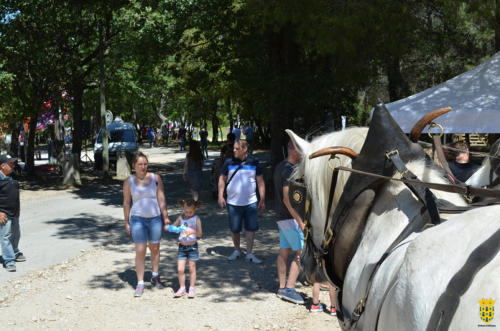 Simiane se Marres 2019 (18)