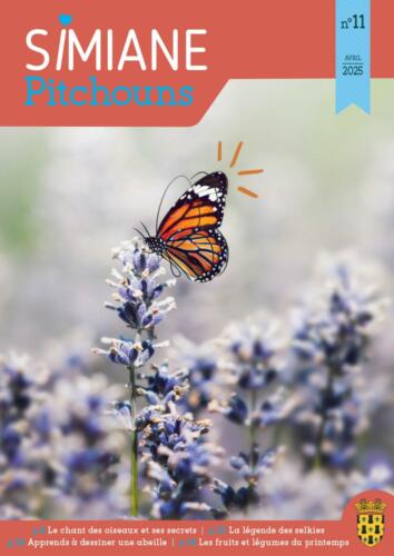 Pitchoun n°11