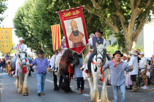 IMG 2911 (1)
