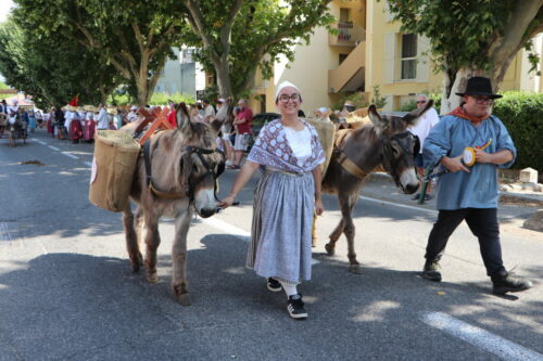 IMG 2984 (1)