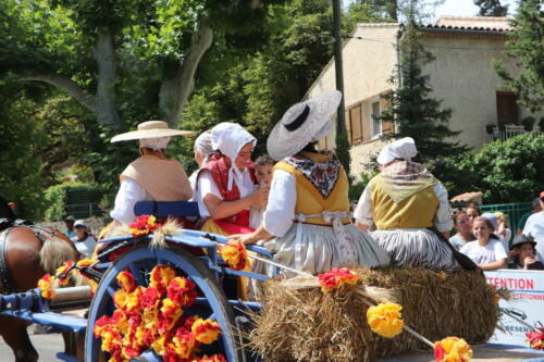 IMG 5755