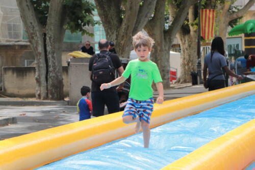 IMG 5973 (1)