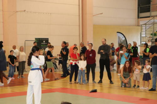 IMG 6905 (1)
