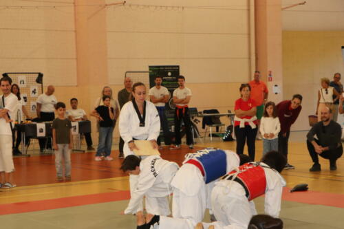 IMG 6906