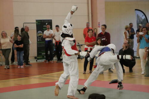IMG 6913 (1)