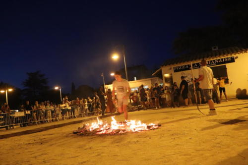 IMG 7564