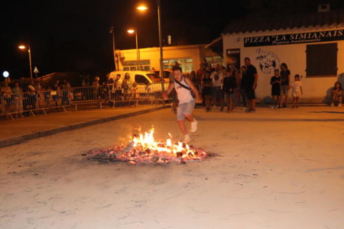 IMG 7593
