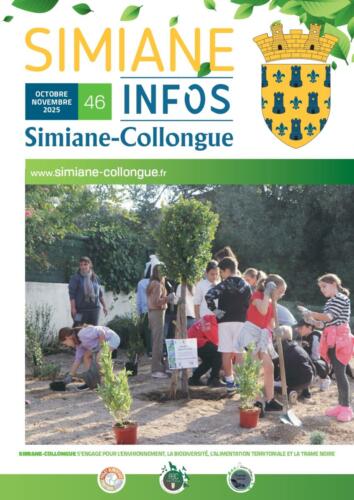 Bulletin Municipal n°46